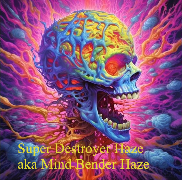 Super Destroyer Haze aka Mind Bender Haze cannabis strain by Cabinet of Curiosities Seeds
