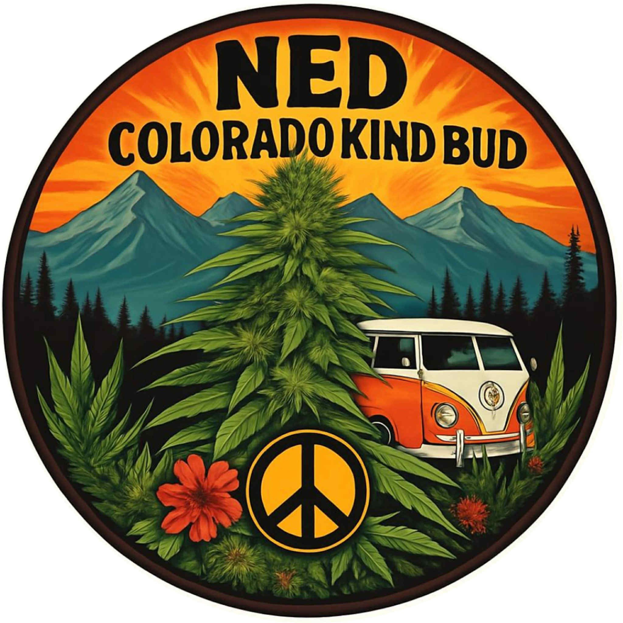 Ned by Cabinet of Curiosities Seeds